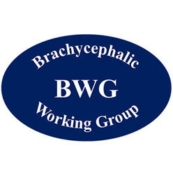 Brachycephalic Working Group